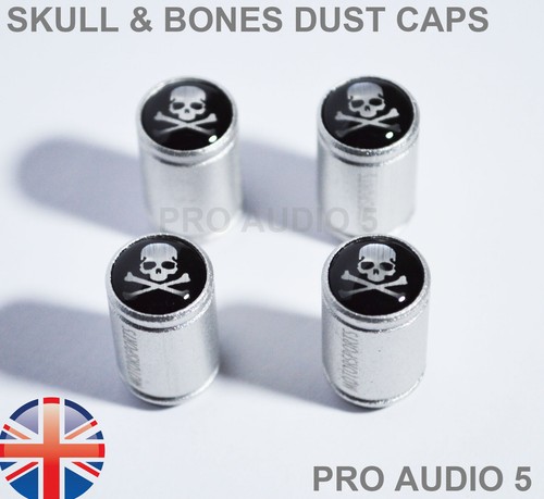 Silver body skull bones - body,