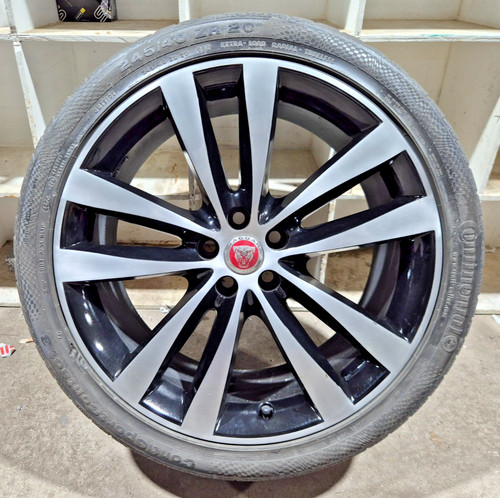 2016 jaguar 9j - 2016, pl