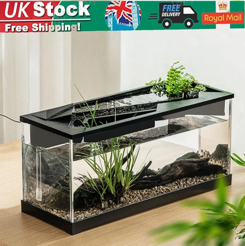 Small fish tank - aquarium,