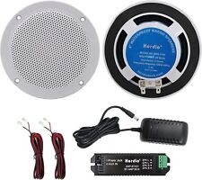 Herdio 4 Inch Waterproof Marine Bluetooth Ceiling Speakers for Bathroom Kitchen