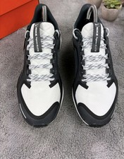 Nike Air Zoom Pegasus 41 GTX