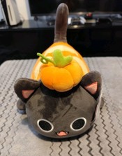 Aphmau Pumpkin Cat Original