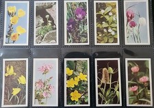 Brooke Bond Tea Cards Wild