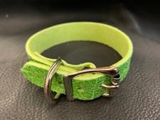 Dog collar distressed lime - collar,