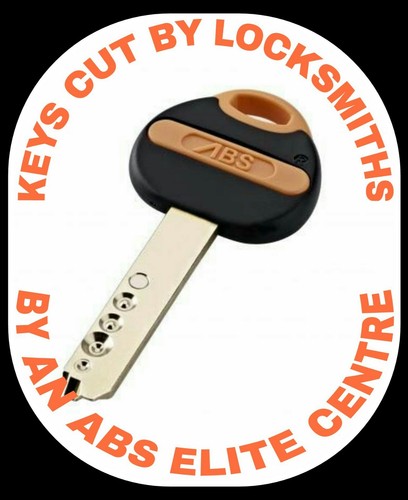 Abs avocet security keys - 3x,