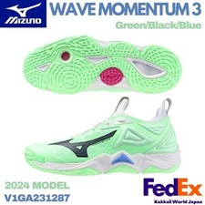 Mizuno Volleyball Shoes WAVE