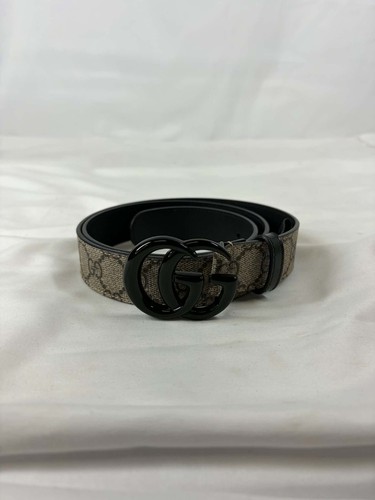 Gucci web supreme - web,