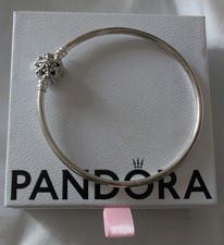 Genuine Pandora Moments