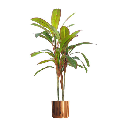 Artificial dracaena plant - dracaena,