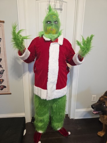 Adult santa grinch costume - adult,
