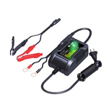 Skyrich Battery Charger