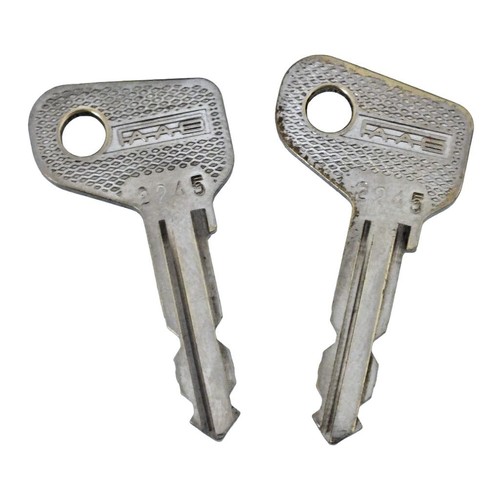 Vintage key faab - vintage, x2