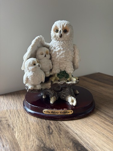 Vintage snowy owl family - owl,