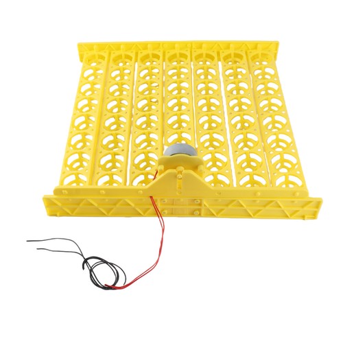 Eggs mini incubator - °56,