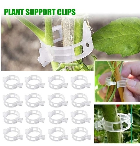 100 500pcs 25mm - 100-500pcs, plant