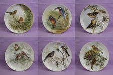 Coalport Birds of Great