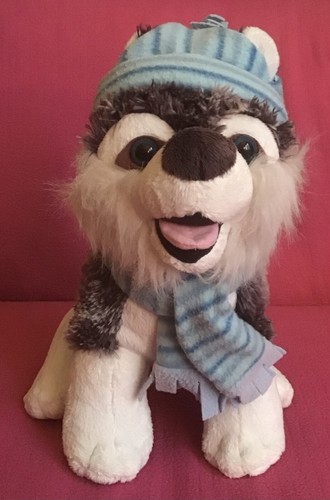 Happy grey white husky - happy, &