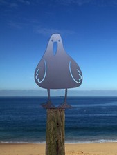 SEAGULL GULL SEASIDE SEA BIRD