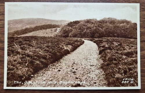 Quantock hills bagborough - quantock,