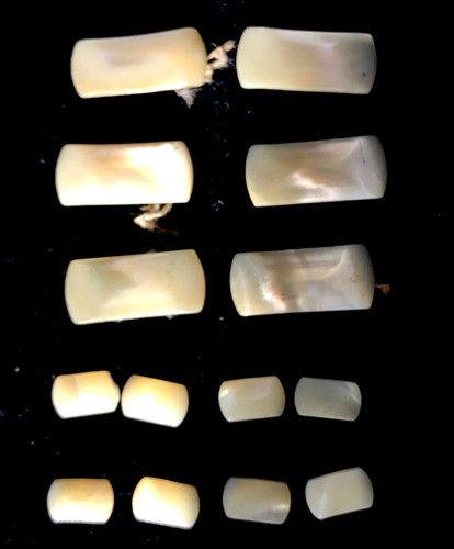 Vintage mother pearl - vintage, of