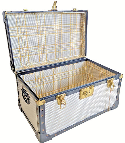 Vintage steamer trunk silver - trunk,