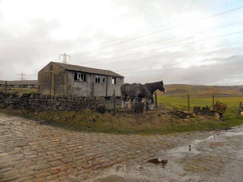 Photo 6x4 pennine bridleway - 6x4,