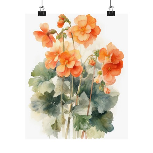 Begonia flower art print - begonia,