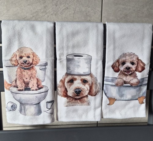 Mini poodle cockapoo - cockapoo, small