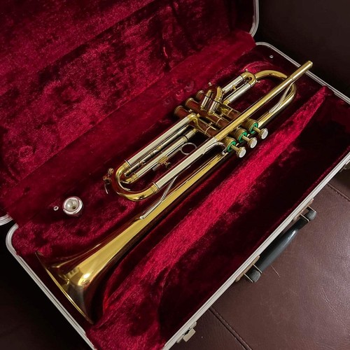 Blessing scholastic trumpet - bb,