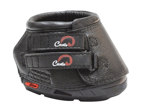 Cavallo horse rider - cavallo,