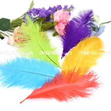 Mixing Colour Natural Genuine Ostrich Feather Fluffy Costume Craft Party Decor