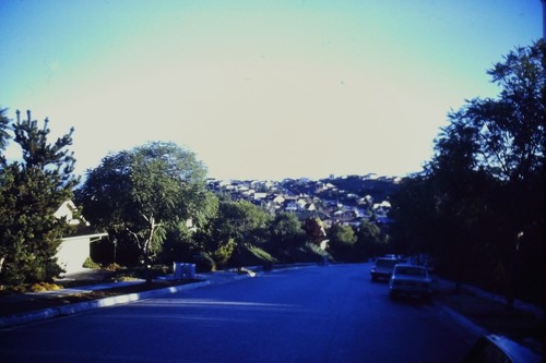 Vintage 35mm photo - photo, slide