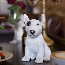 SoReal White Bull Terrier