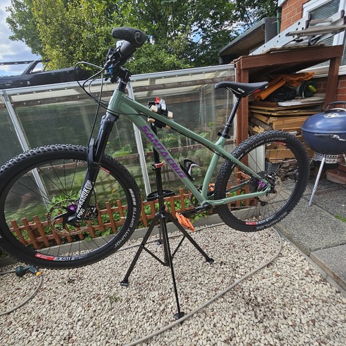 Santacruz chameleon size - size, m