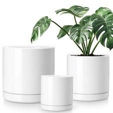 vancasso 1pc/3pc Ceramic Plant