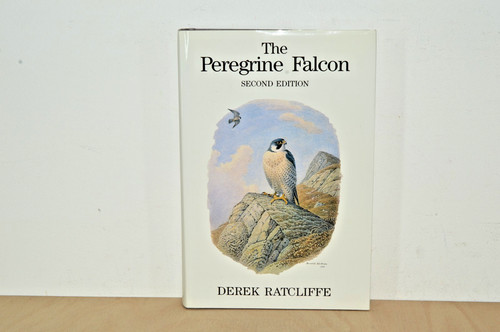 The peregrine falcon second - falcon,