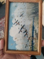 Peter Scott 'Taking to Wing'