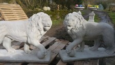 Pair of large standing lions