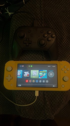 Nintendo switch lite and - switch,
