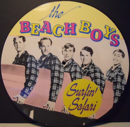 The beach boys - the, surfin'