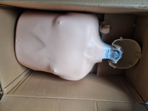Laerdal little anne 0 - laerdal, 2.0