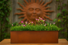 Rustic flower pot rectangle - pot,