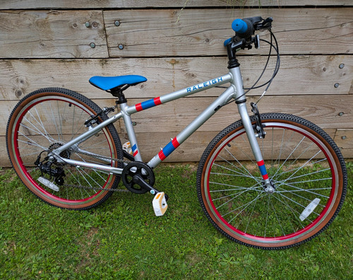 Raleigh 24in unisex - raleigh, kids