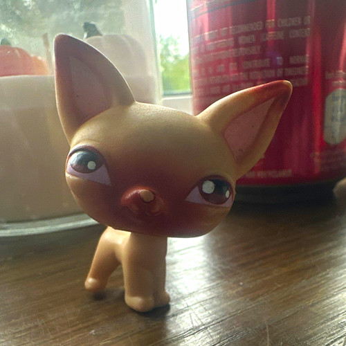 Chihuaha lps plastic dog - #1,