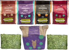 Silvermoor Grassabix Forage Block Treat - Grass Cinnamon Linseed Turmeric Mint