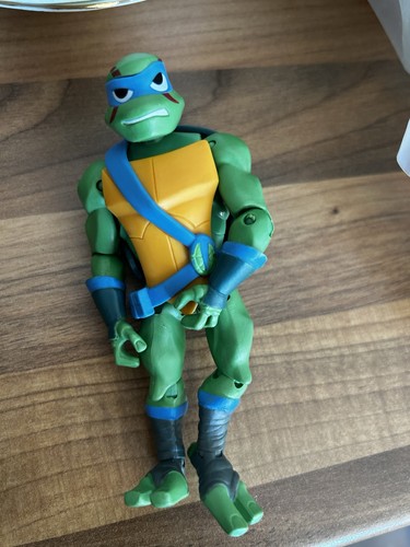 Rise the teenage mutant - of,