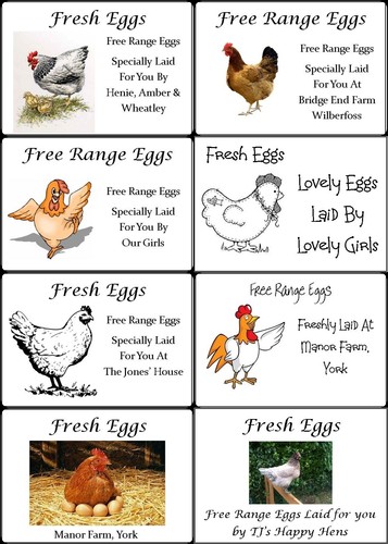 Small personalised chicken hen - small,