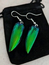 Jewel Beetle Wing Earrings