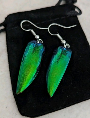 Jewel beetle wing earrings - beetle,