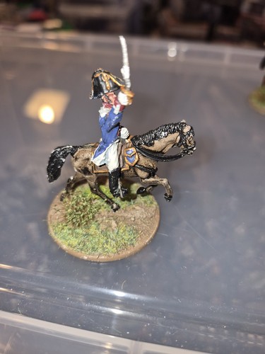 Napoleonic painted 28mm - 28mm, french